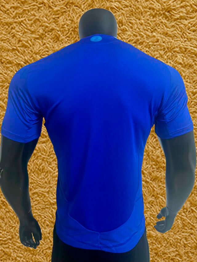 Camiseta Argentina 2024/25 - Futwear