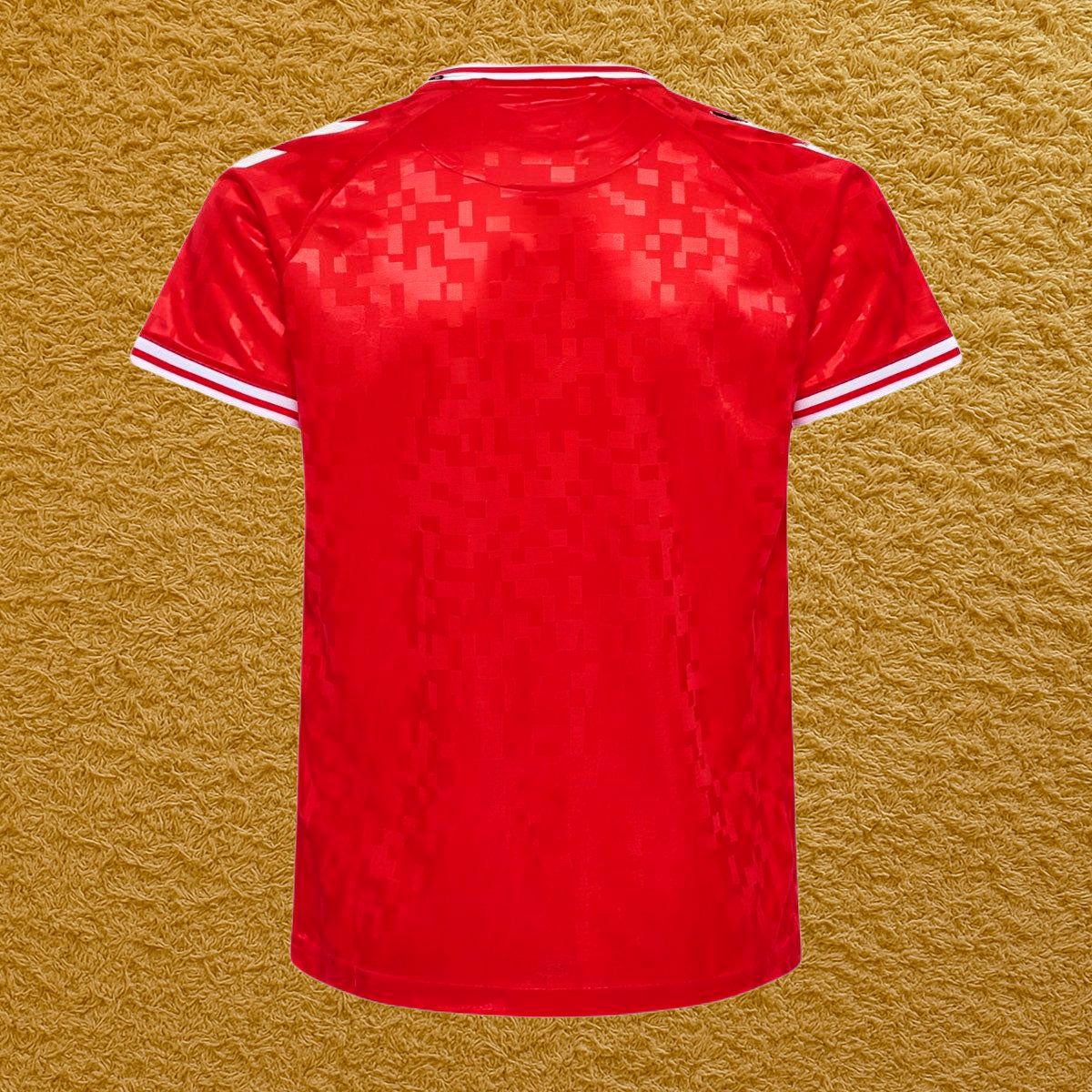 Camiseta Dinamarca 2024/25 - Futwear