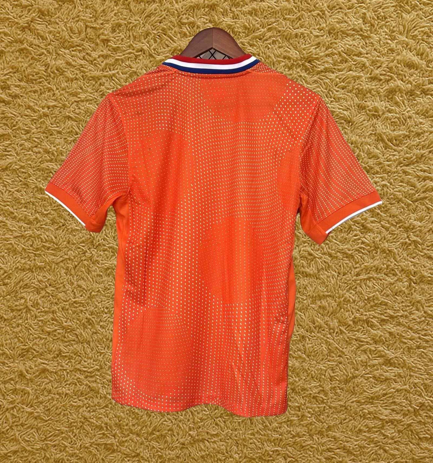 Camiseta Países Bajos 2025/26