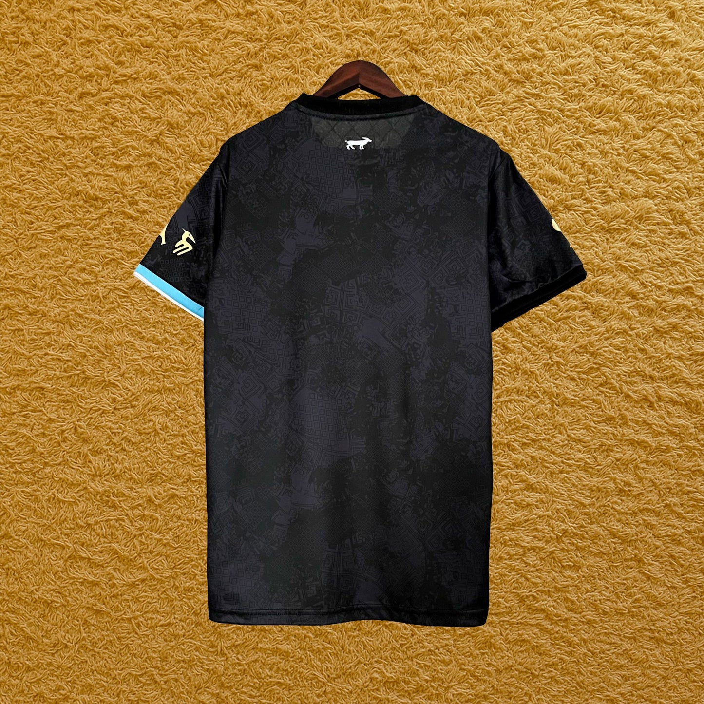 Camiseta especial Argentina 2023/24 - Futwear