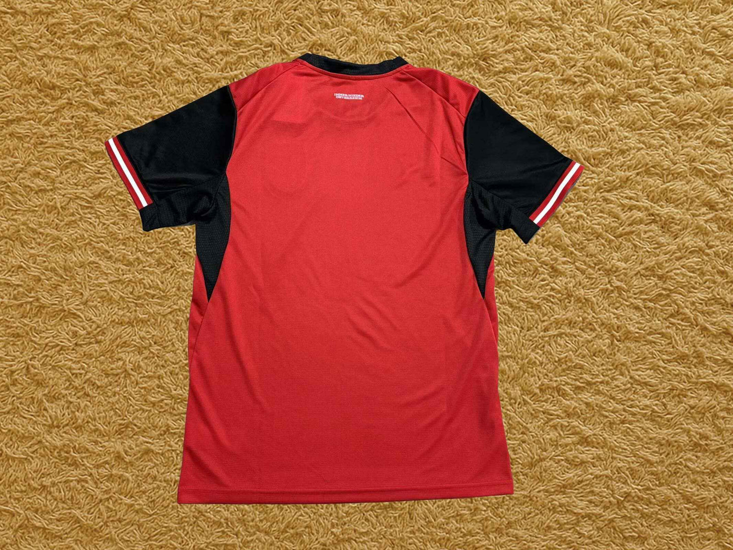 Camiseta Austria 2025/26
