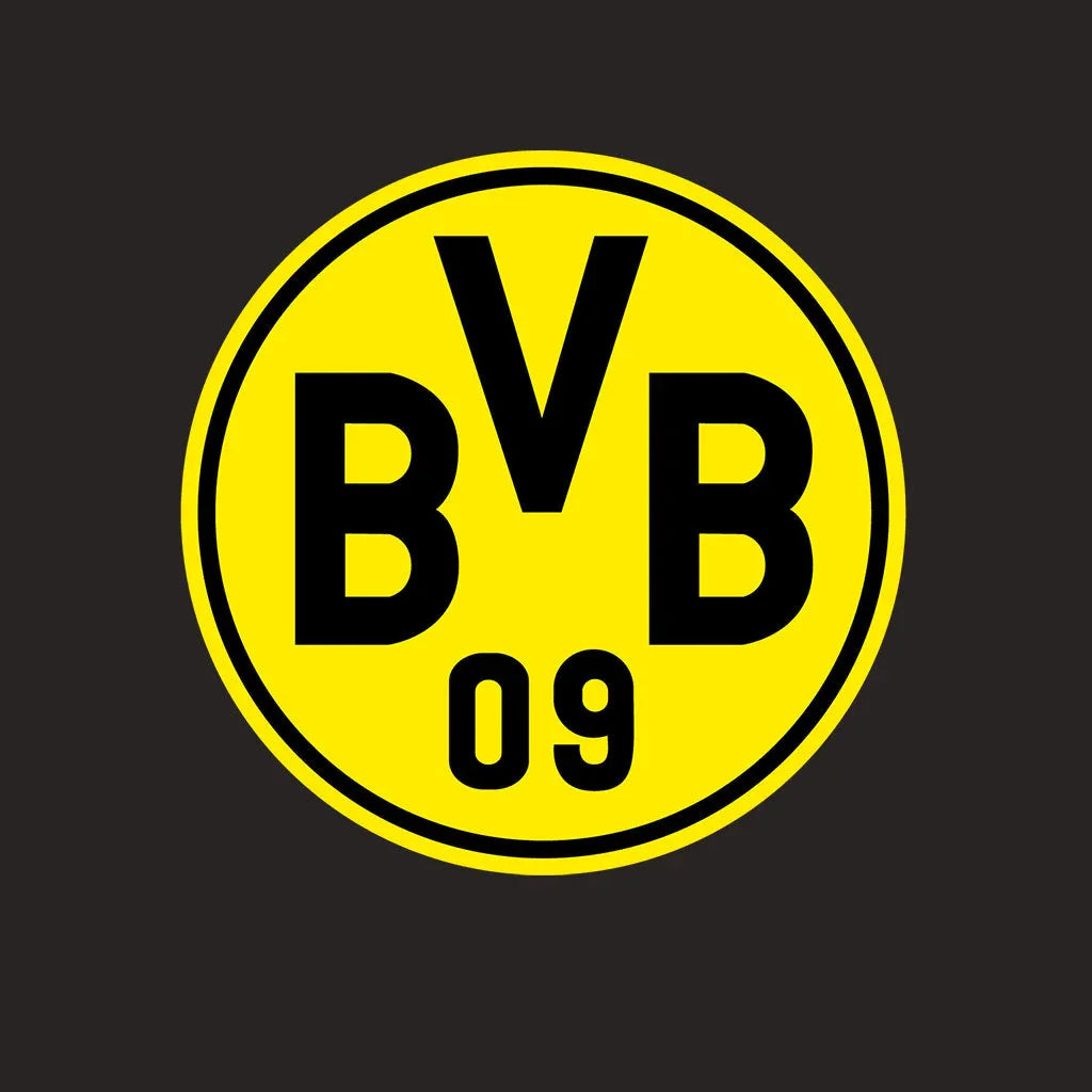 BORUSSIA DORTMUND 24/25 - Futwear