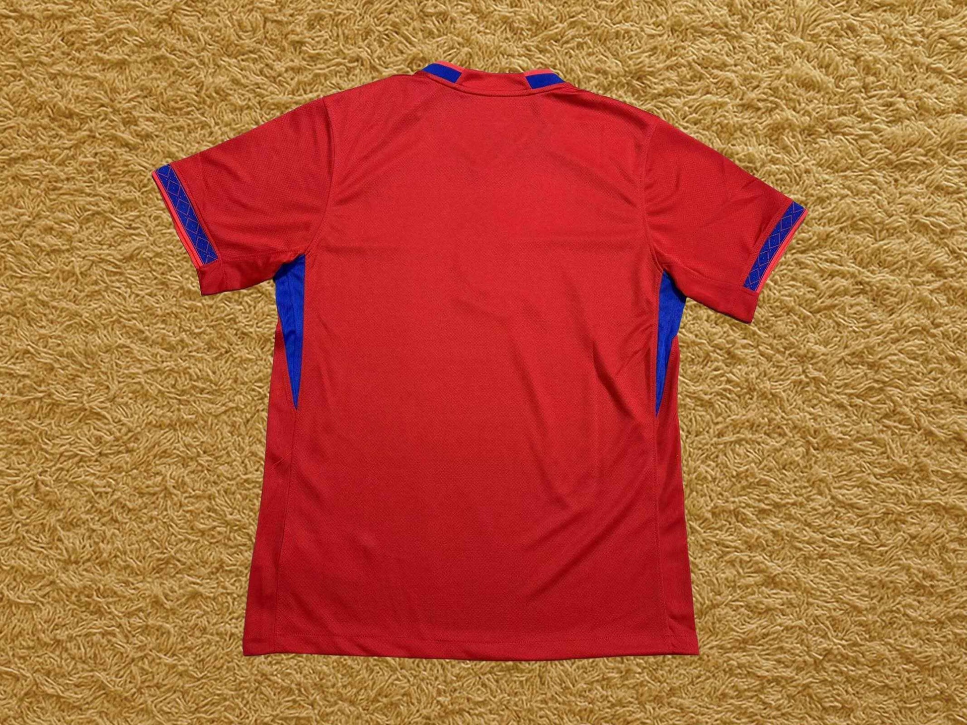 Camiseta Noruega 2025/26