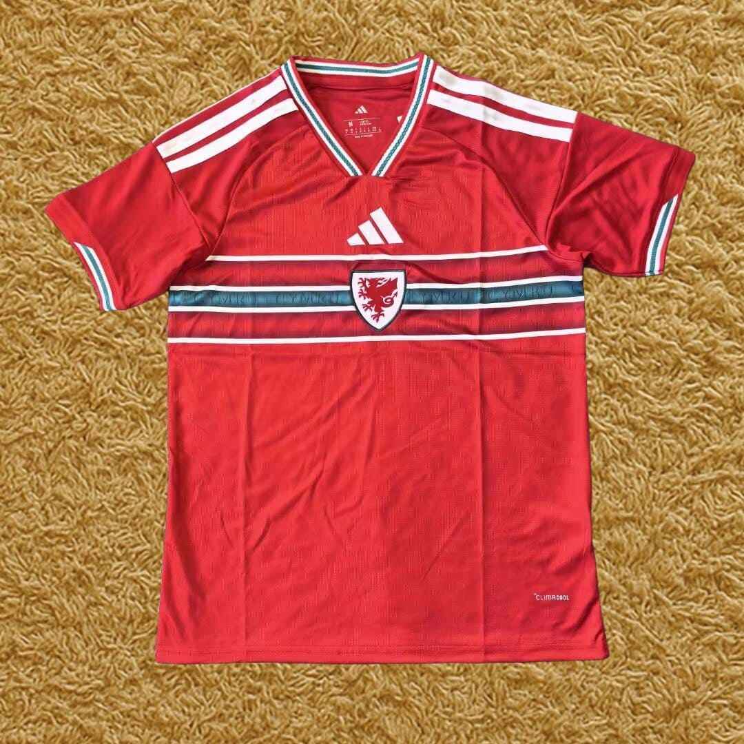 Camiseta Gales 2025/26