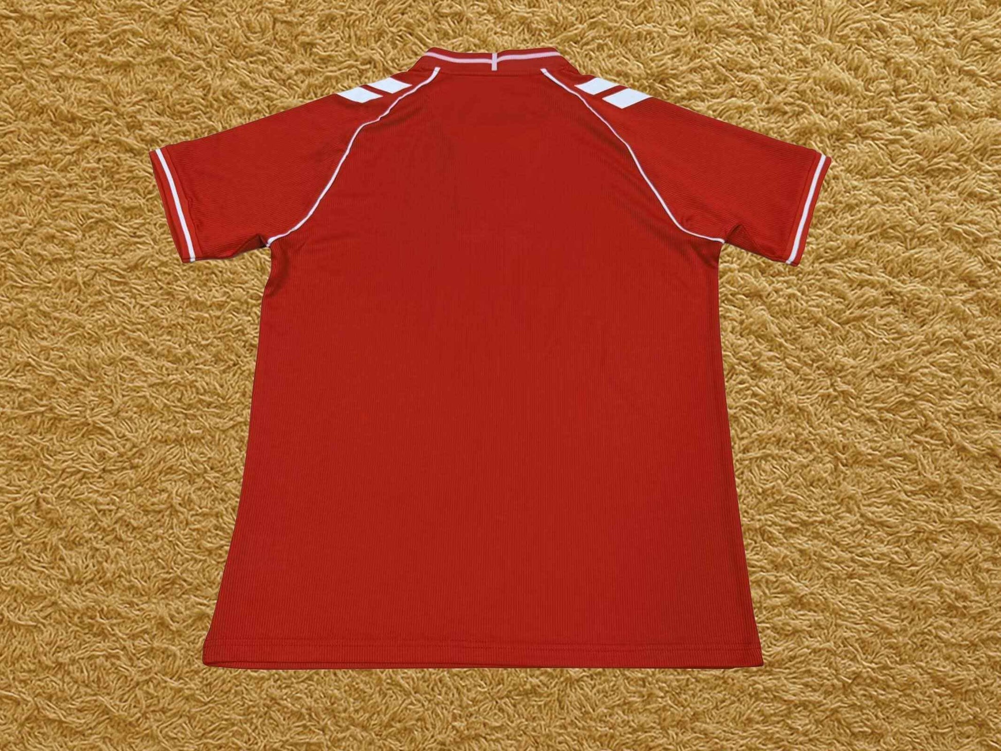 Camiseta Dinamarca 2025/26