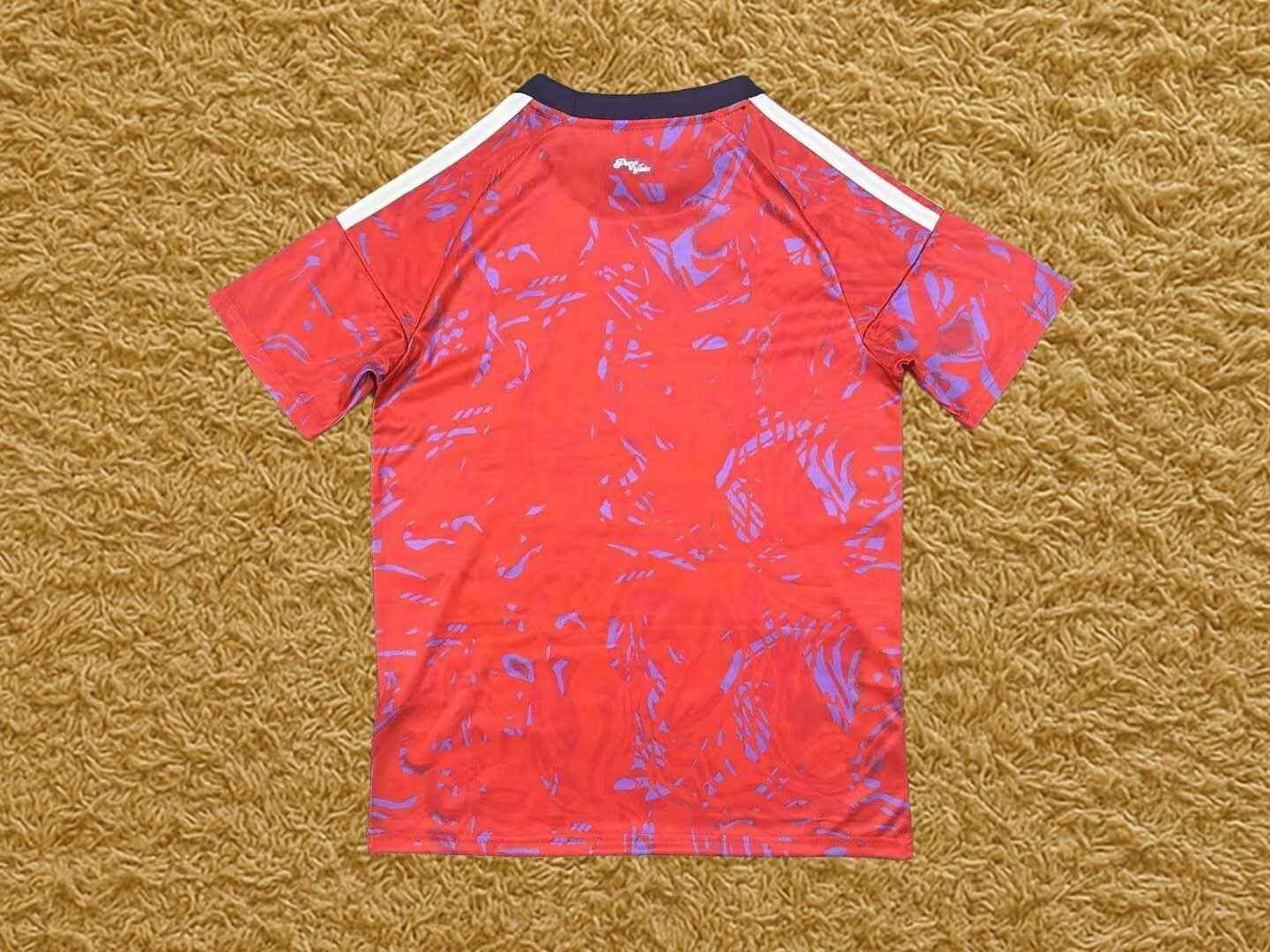 Camiseta Costa Rica 2025/26